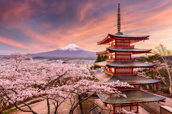 Le Japon et ses cerisiers en fleurs, circuit et croisière sur le Celebrity Millenium