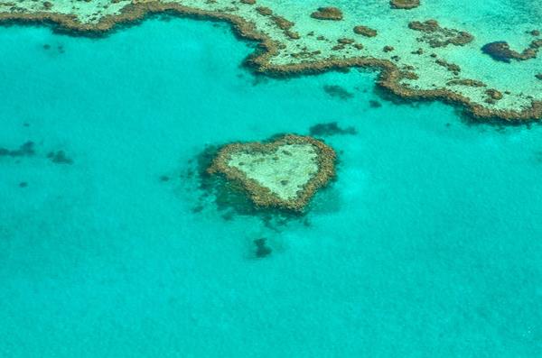 Croisière de la Grande Barrière de Corail en Australie à bord du Celebrity Edge