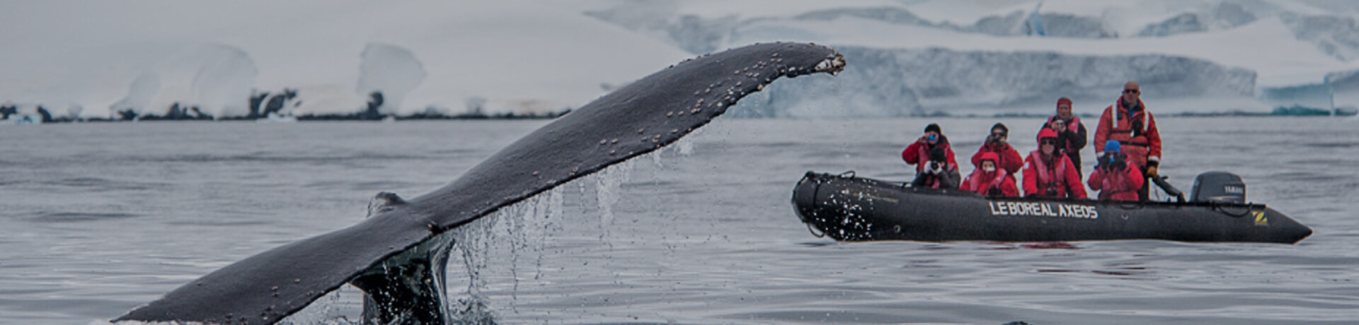 Antarctique
