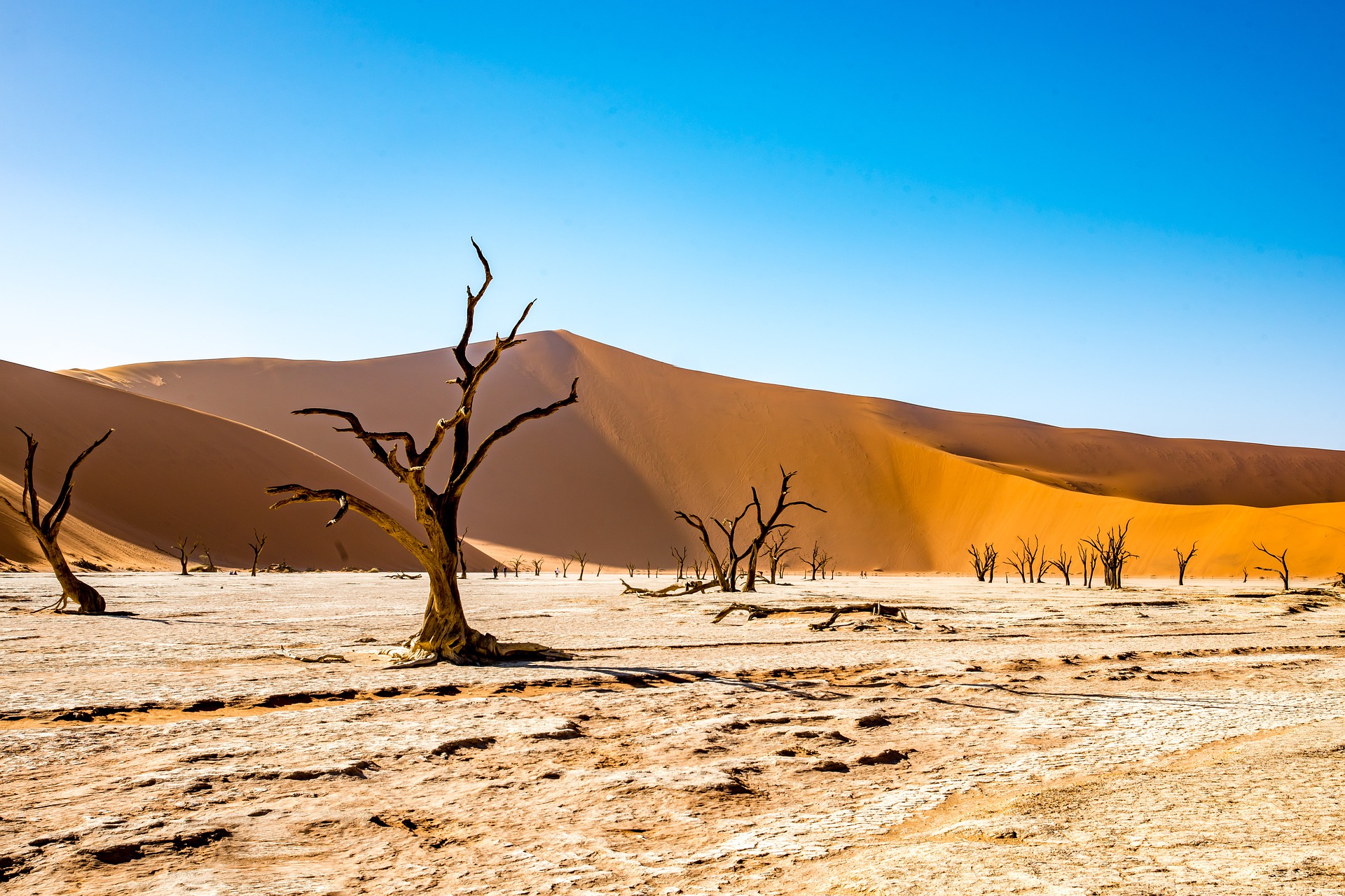 Namibie : circuit de luxe, paysages et safaris