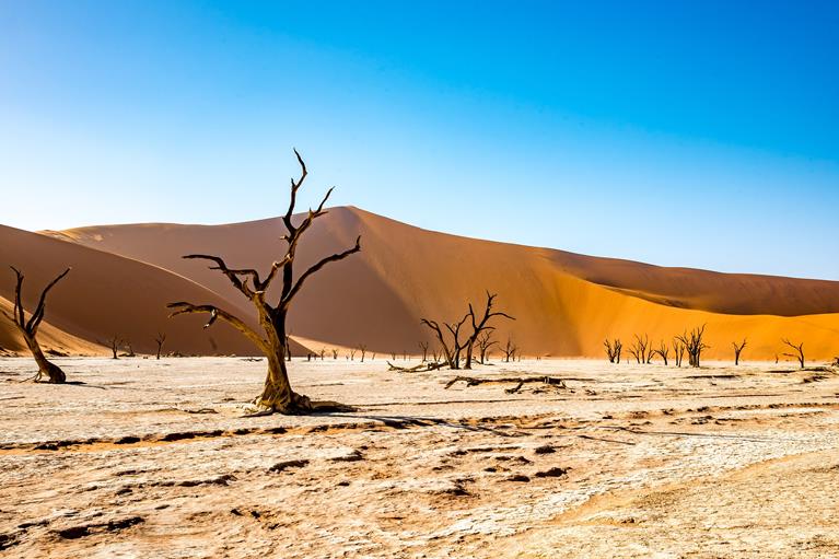 Namibie : circuit de luxe, paysages et safaris