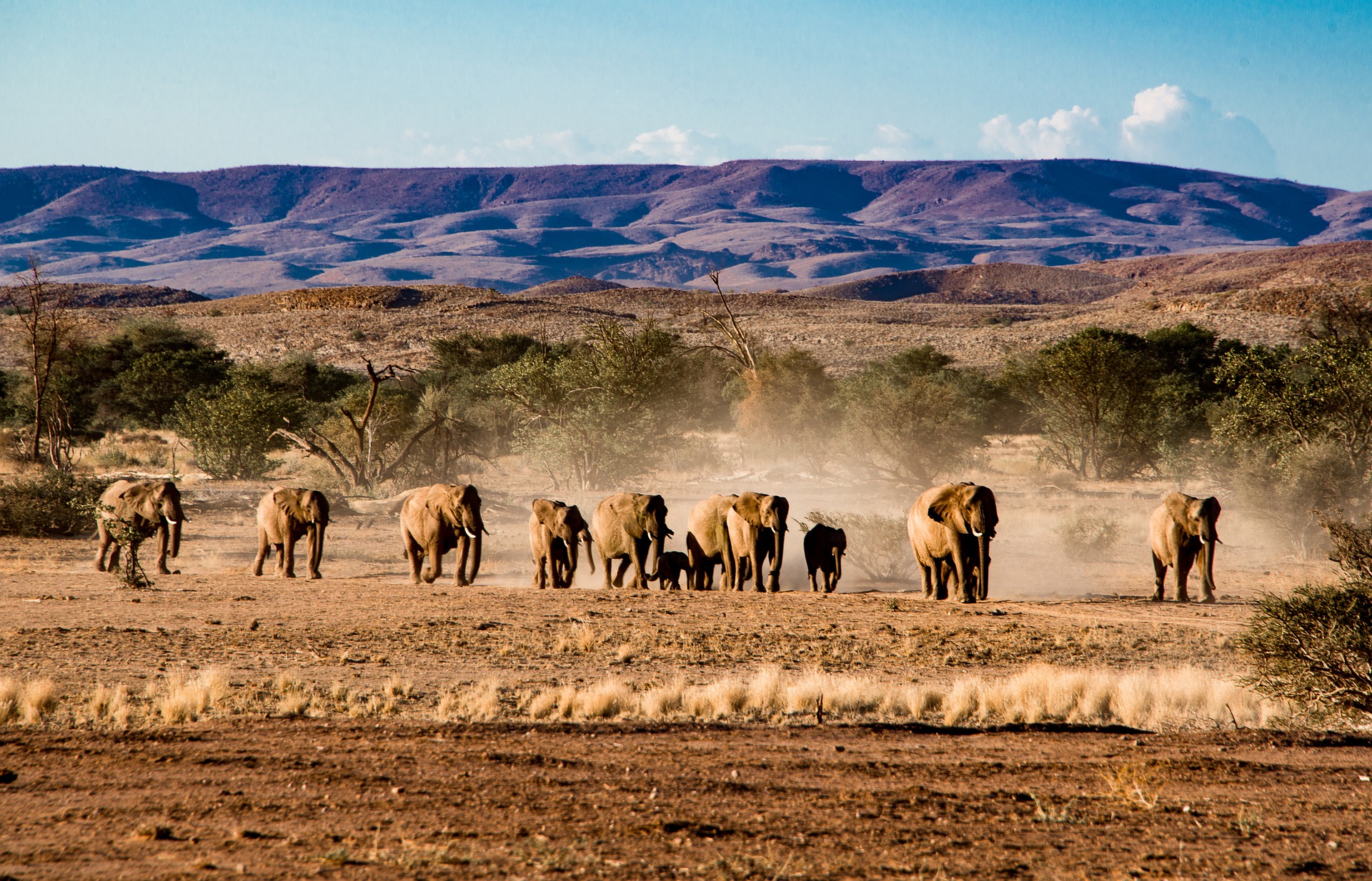 Namibie : circuit de luxe, paysages et safaris