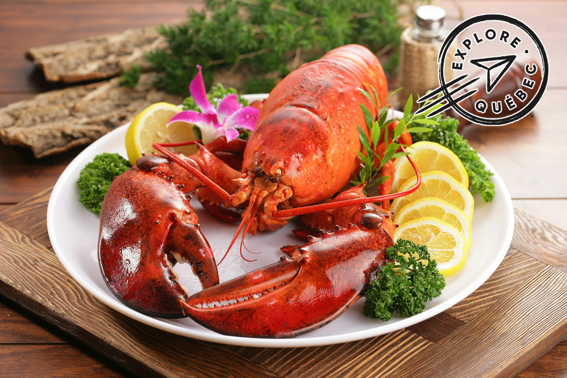 Vivre les Îles-de-la-Madeleine à la saison du homard