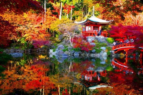 Le Japon au temps des couleurs d’automne Circuit & croisière
