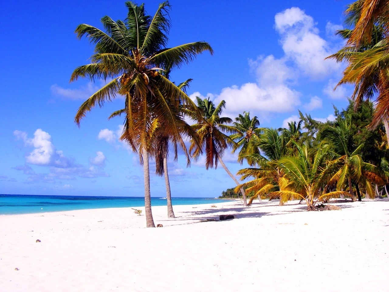 Croisière Caraïbes de l'Est - St-Martin, Antigua, Ste-Lucie, Barbade, Dominique, St-Kitts