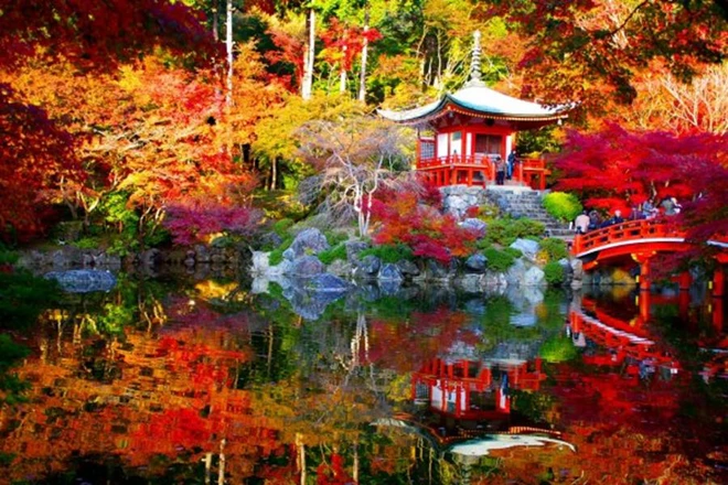 Japon : Tokyo et croisière à bord du Celebrity Millenium