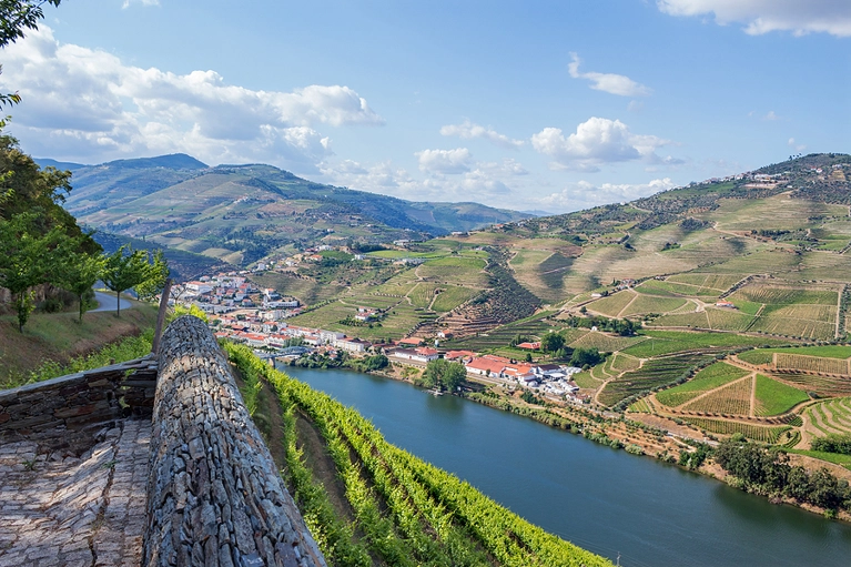 Croisière fluviale sur le Douro et Porto