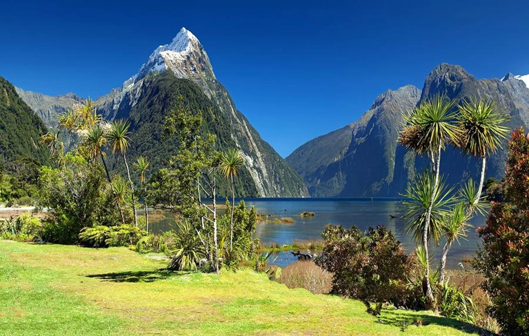 La Nouvelle-Zélande en Circuit \u0026 Croisière jusqu\u0027à Sydney \u0026 circuit terrestre