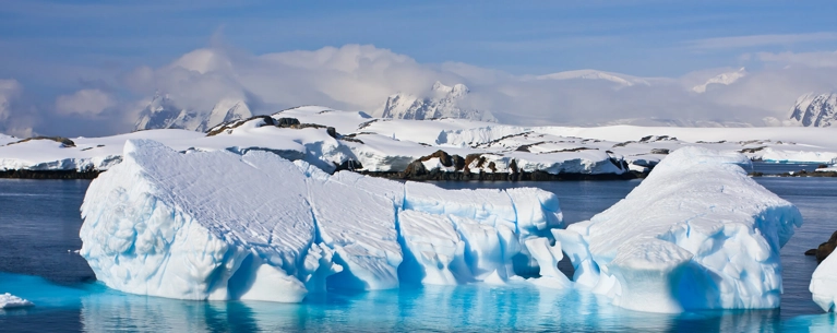 L\u0027Antarctique et la Géorgie du Sud avec la Compagnie du Ponant