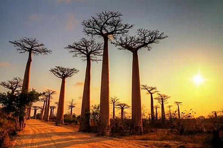 Île Maurice, Île de Madagascar et Parc Kruger - Séjour détente à Maurice, croisière expédition à Madagascar \u0026 safari en Afrique du Sud