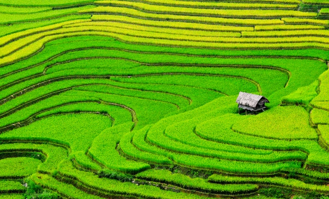 Le Vietnam et le Cambodge 2019
