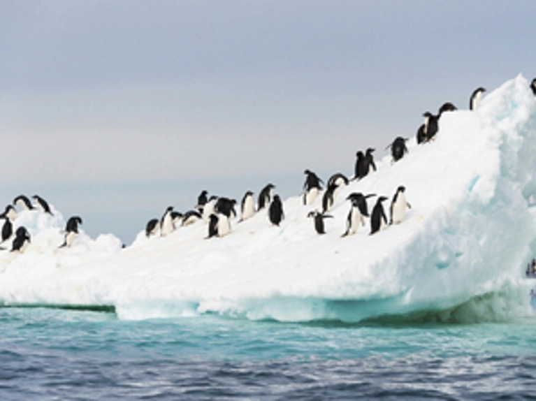 Découverte de Buenos Aires \u0026 croisière en Antarctique à bord du Celebrity Equinox
