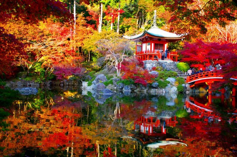 Le Japon au temps des couleurs d’automne Circuit \u0026 croisière