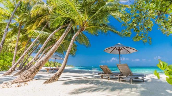 Voyage de rêve aux Seychelles et atoll d\u0027Aldabra