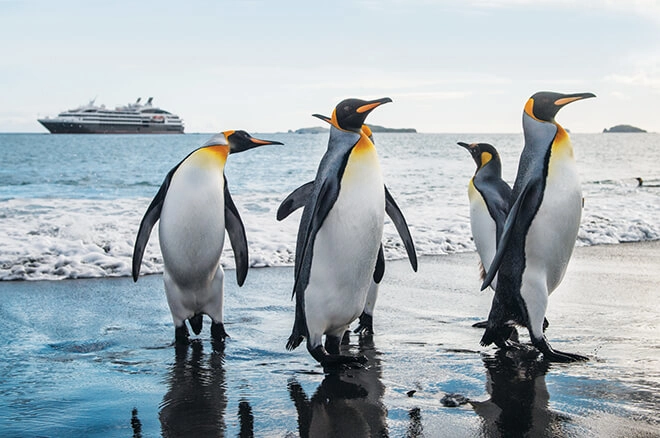 Antarctique