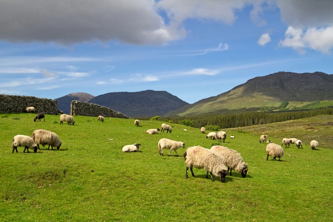 Circuit accompagné en Angleterre, Écosse \u0026 Irlande - pour une 4e année consécutive
