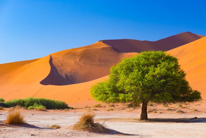 Namibie : circuit de luxe, paysages et safaris