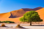 Namibie : circuit de luxe, paysages et safaris
