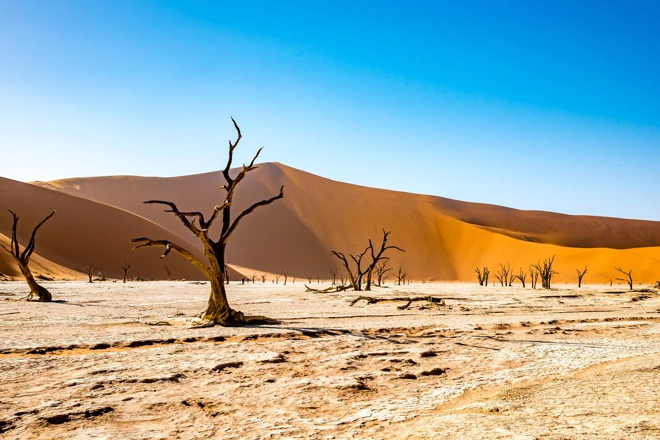 Namibie:  Circuit de luxe, paysages et safaris