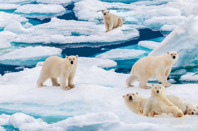 Croisière au Pôle Nord - Du Spitzberg au Pôle Nord à bord du luxueux brise-glace de Ponant, Le Commandant Charcot