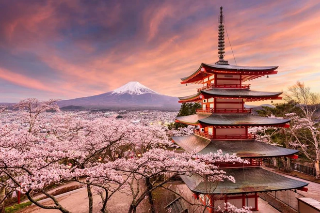 Japon « Cerisiers en fleurs » en circuit \u0026 croisière 