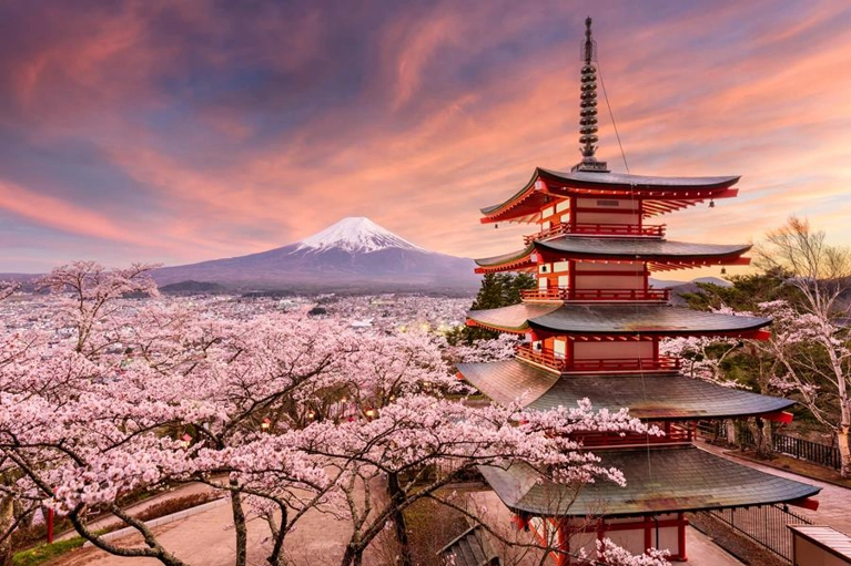 Japon « Cerisiers en fleurs » en circuit \u0026 croisière 