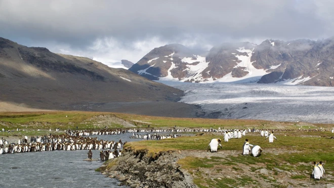 L\u0027Antarctique et la Géorgie du Sud à bord du Lyrial de la Compagnie du Ponant - Découverte de Buenos Aires, d’Ushuaia, Croisière expédition de 4 jours en péninsule Antarctique et 3 jours en Georgie du sud
