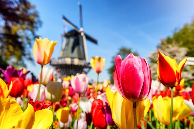 Alsace et Hollande au temps des tulipes en circuit \u0026 croisière sur le Rhin romantique